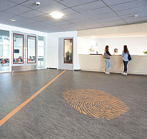 Forbo Marmoleum Decibel on Order 304835 graphite фото 2 | FLOORDEALER